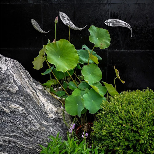 2019園冶杯專業(yè)獎(jiǎng)丨沈陽龍湖九里晴川示范區(qū)