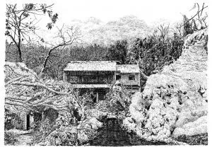 張建庭：用一支鋼筆，繪出西湖守候者的文化胸懷