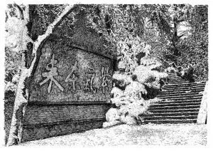 張建庭：用一支鋼筆，繪出西湖守候者的文化胸懷