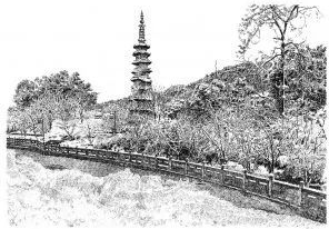 張建庭：用一支鋼筆，繪出西湖守候者的文化胸懷