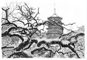 張建庭：用一支鋼筆，繪出西湖守候者的文化胸懷