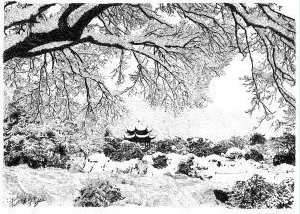 張建庭：用一支鋼筆，繪出西湖守候者的文化胸懷