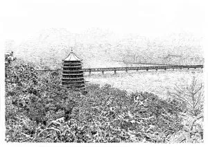 張建庭：用一支鋼筆，繪出西湖守候者的文化胸懷