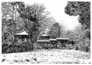 張建庭：用一支鋼筆，繪出西湖守候者的文化胸懷