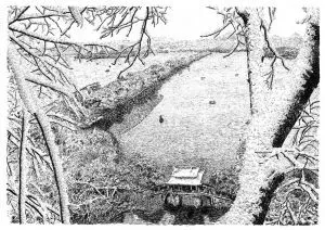 張建庭：用一支鋼筆，繪出西湖守候者的文化胸懷