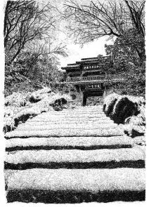 張建庭：用一支鋼筆，繪出西湖守候者的文化胸懷