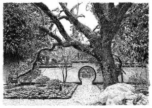 張建庭：用一支鋼筆，繪出西湖守候者的文化胸懷