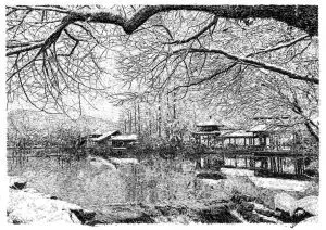 張建庭：用一支鋼筆，繪出西湖守候者的文化胸懷