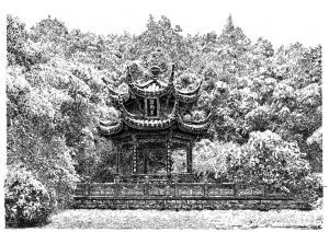 張建庭：用一支鋼筆，繪出西湖守候者的文化胸懷