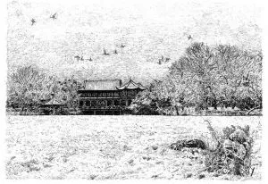 張建庭：用一支鋼筆，繪出西湖守候者的文化胸懷