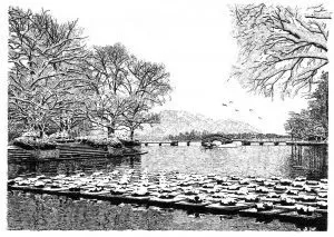 張建庭：用一支鋼筆，繪出西湖守候者的文化胸懷