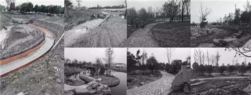 2019園冶杯專業獎丨揚州朱自清公園