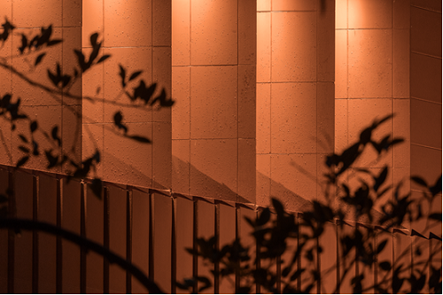 2019園冶杯專業獎丨萬科上海寶山啟宸