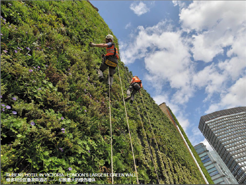 Justin Abbott:水設計——通過整合藍、綠、灰色基礎設施提高城市韌性