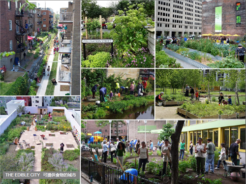 Justin Abbott:水設計——通過整合藍、綠、灰色基礎設施提高城市韌性