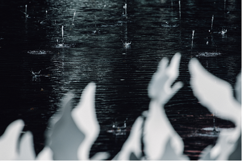 2019園冶杯專業獎丨萬科上海寶山啟宸