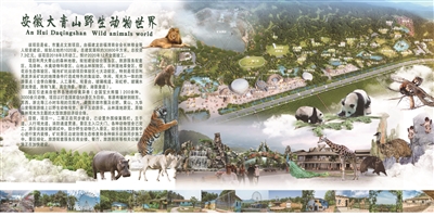 百畝廢棄礦坑 蝶變成“景觀公園”