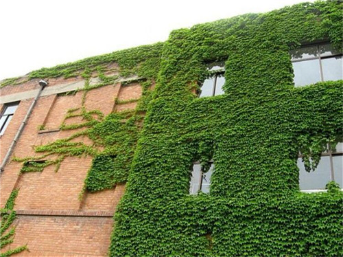 集一切可用節能措施于一身,這座建筑讓空調下崗?