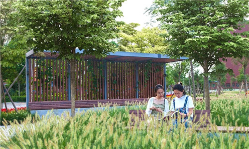 2019園冶杯專業獎丨北京城市學院順義校區景觀綜合提升