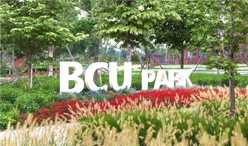 2019園冶杯專業獎丨北京城市學院順義校區景觀綜合提升