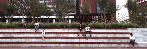 2019園冶杯專業獎丨北京城市學院順義校區景觀綜合提升