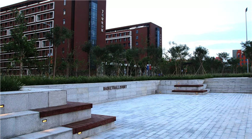 2019園冶杯專業獎丨北京城市學院順義校區景觀綜合提升