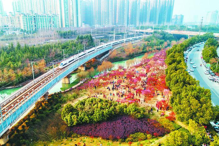 合肥:從首座人民公園 到國家生態園林城市