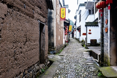 行走森林古道 穿越時光隧道