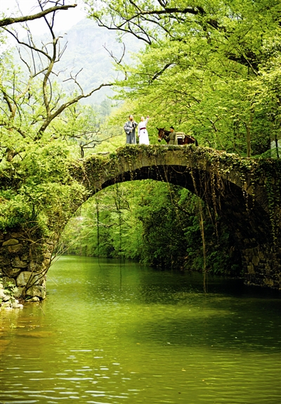 行走森林古道 穿越時光隧道