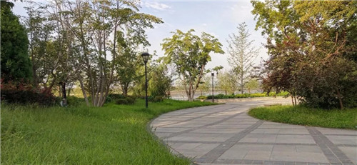 2019園冶杯專業獎丨遼寧省興城市城區河道景觀規劃設計