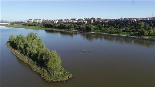 2019園冶杯專業獎丨遼寧省興城市城區河道景觀規劃設計