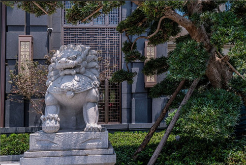 2019園冶杯專業獎丨河南九棟園項目景觀提升工程