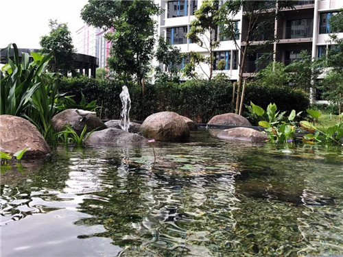 2019園冶杯專業獎丨馬來西亞武吉加里爾 The Rainz