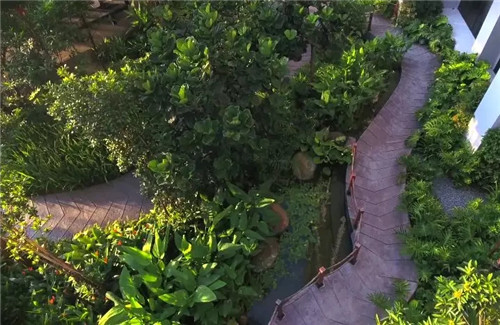 2019園冶杯專業獎丨馬來西亞武吉加里爾 The Rainz