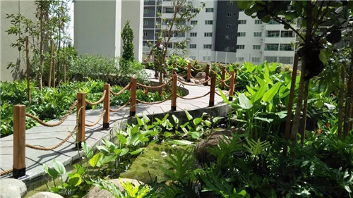 2019園冶杯專業獎丨馬來西亞武吉加里爾 The Rainz