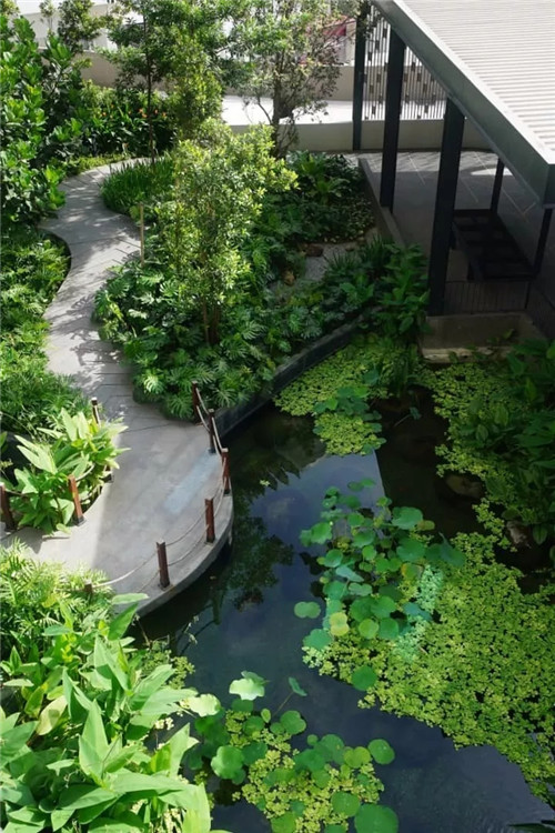 2019園冶杯專業獎丨馬來西亞武吉加里爾 The Rainz