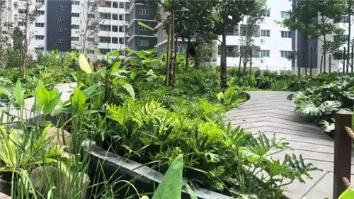 2019園冶杯專業獎丨馬來西亞武吉加里爾 The Rainz