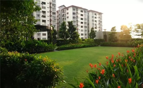 2019園冶杯專業獎丨馬來西亞武吉加里爾 The Rainz