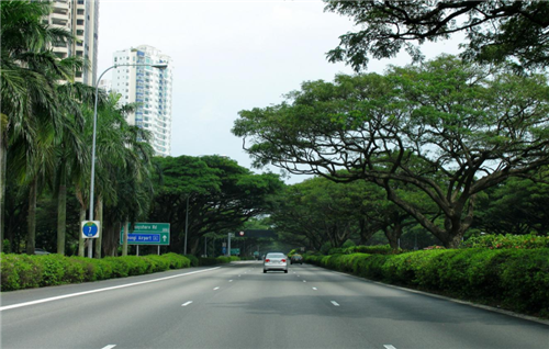 李敏：從綠化城市到公園城市