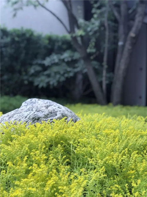 2019園冶杯專業獎丨融創西安東方宸院銷售體驗中心