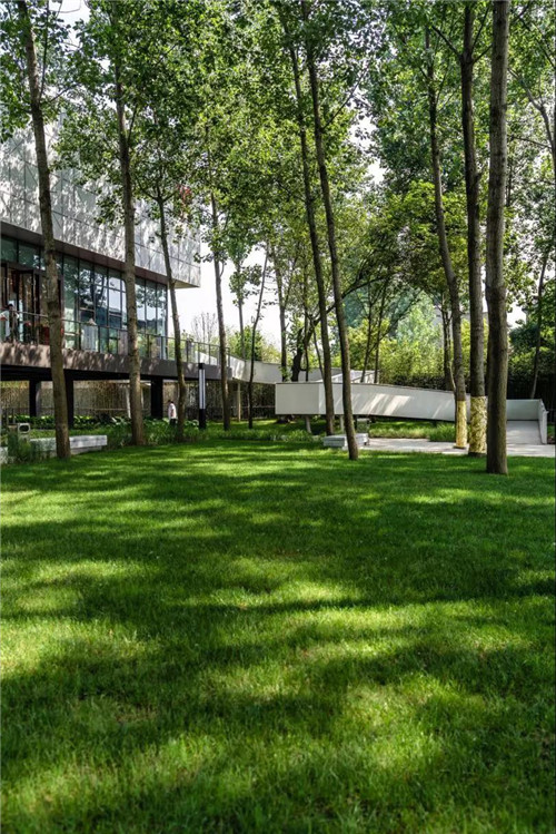 2019園冶杯專業獎丨石首顯揚府MOMA展示區景觀園林設計