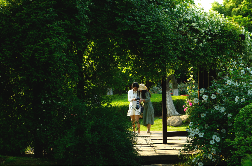 張曉鳴：風景園林與優美生態環境