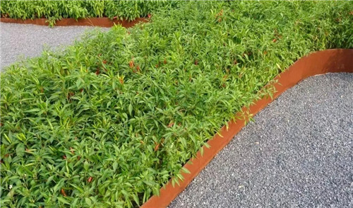 2019園冶杯專業獎丨秦皇島濱海度假城兒童農莊