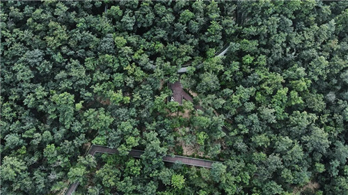 2019園冶杯專業獎丨秦皇島濱海度假城兒童農莊