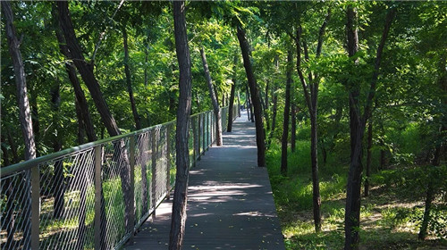 2019園冶杯專業獎丨秦皇島濱海度假城兒童農莊