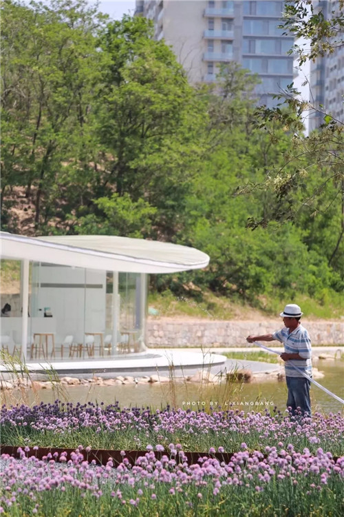 2019園冶杯專業獎丨秦皇島濱海度假城兒童農莊