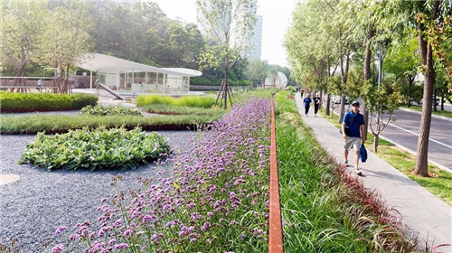 2019園冶杯專業獎丨秦皇島濱海度假城兒童農莊