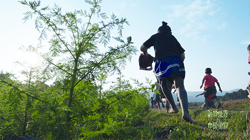 紀錄片《影響世界的中國植物》 中秋重磅推出！