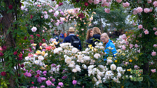 紀錄片《影響世界的中國植物》 中秋重磅推出！