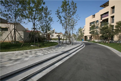 章俊華作品: 無形中的有形——秦皇島阿那亞三期景觀設計